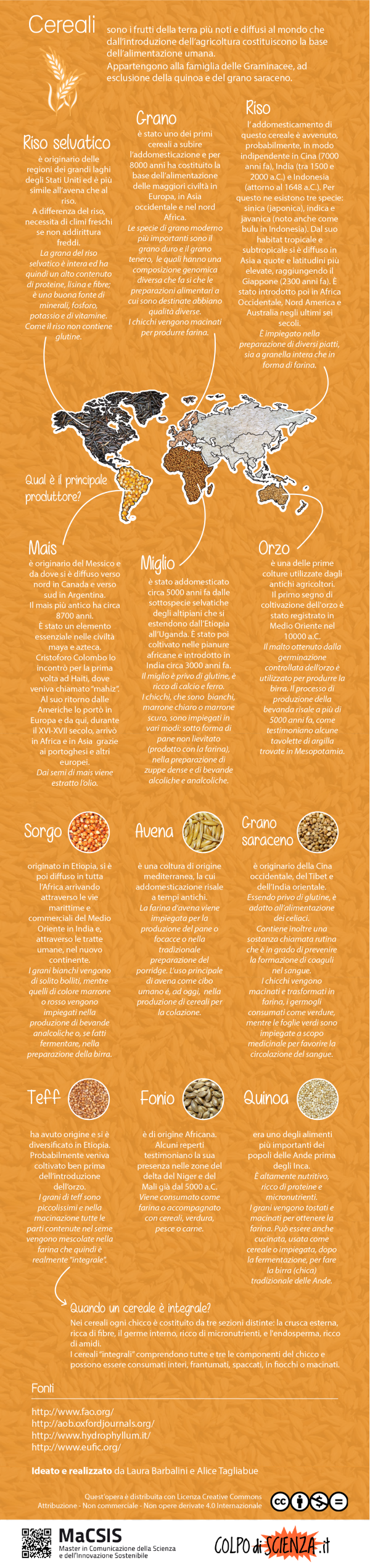 Infografica cereali_LauraBarbalini_AliceTagliabue ok